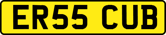 ER55CUB