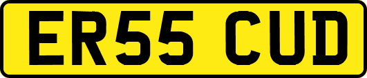 ER55CUD