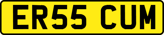 ER55CUM