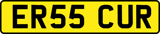 ER55CUR