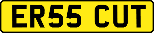 ER55CUT