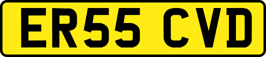 ER55CVD