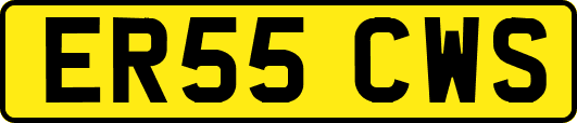 ER55CWS
