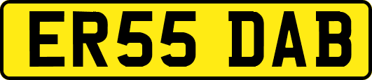 ER55DAB
