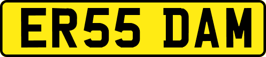 ER55DAM