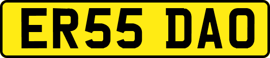 ER55DAO