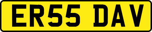 ER55DAV