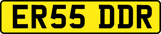 ER55DDR