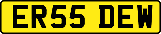 ER55DEW