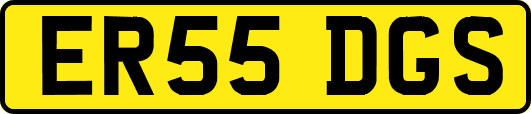 ER55DGS