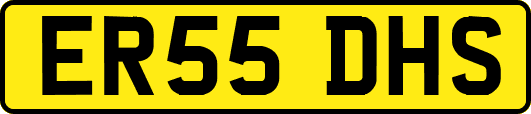 ER55DHS