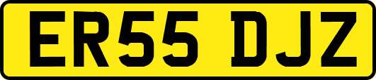 ER55DJZ