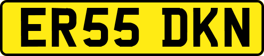 ER55DKN