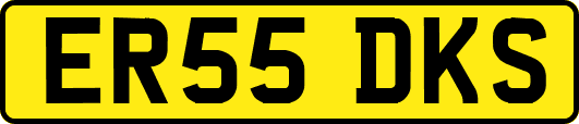 ER55DKS