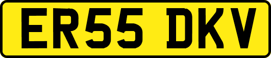 ER55DKV