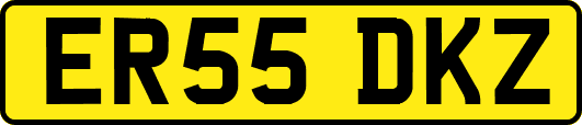 ER55DKZ