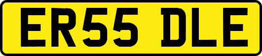 ER55DLE
