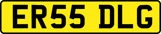 ER55DLG