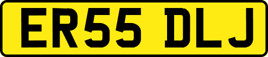 ER55DLJ