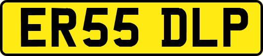 ER55DLP