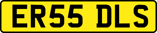 ER55DLS