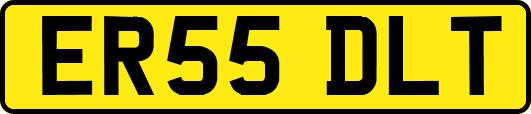 ER55DLT