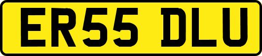 ER55DLU