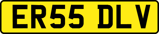ER55DLV