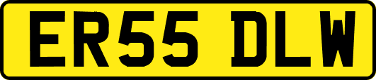 ER55DLW