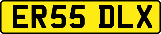 ER55DLX