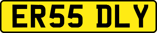ER55DLY