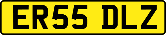 ER55DLZ