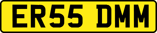 ER55DMM