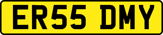 ER55DMY