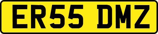 ER55DMZ