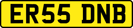 ER55DNB