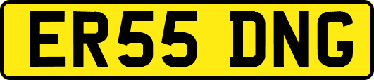 ER55DNG
