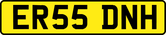 ER55DNH
