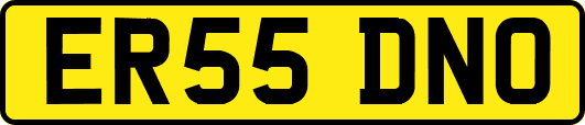 ER55DNO