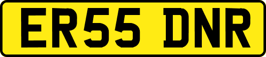 ER55DNR