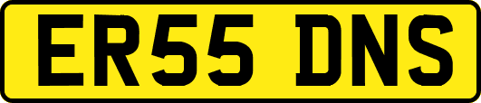 ER55DNS