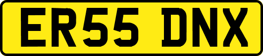 ER55DNX