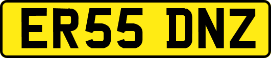 ER55DNZ
