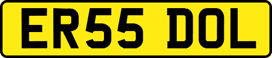 ER55DOL