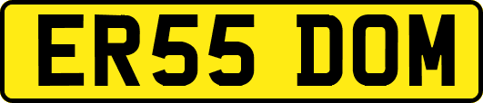 ER55DOM
