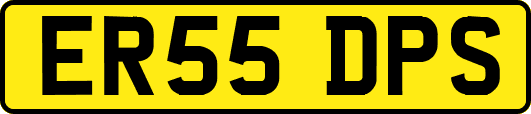 ER55DPS
