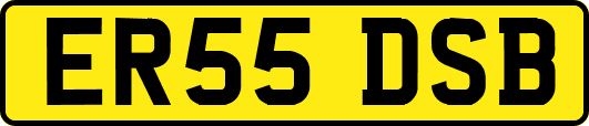 ER55DSB