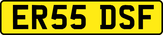 ER55DSF