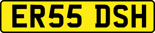 ER55DSH