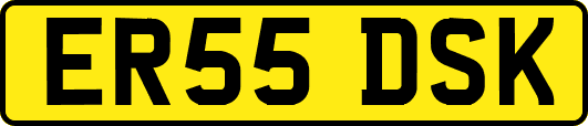 ER55DSK